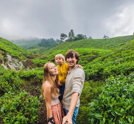 5D Munnar thekkady Allephey